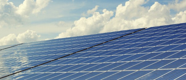 Steeds meer melkveebedrijven hebben zonnepanelen