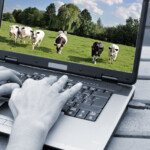 Boervindt nieuwsbrief: hét geheim voor gerichte en effectieve communicatie met de agrarische sector!