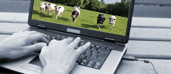 Boervindt nieuwsbrief: hét geheim voor gerichte en effectieve communicatie met de agrarische sector!