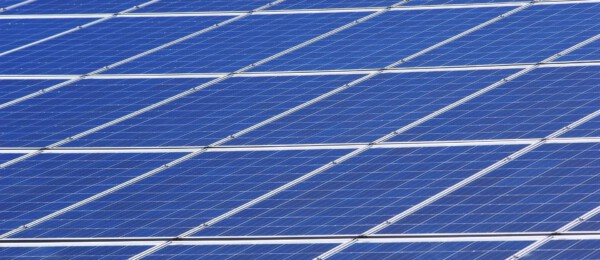 1 op de 10 melkveehouders wil investeren in zonnepanelen