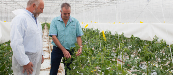 Wie heeft invloed op aankoopproces van boeren en tuinders?