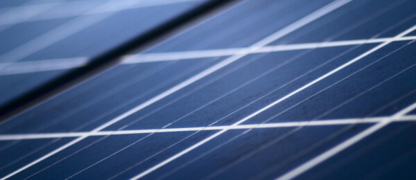 Investeringsplannen melkveehouders in zonnepanelen meer dan verdubbeld